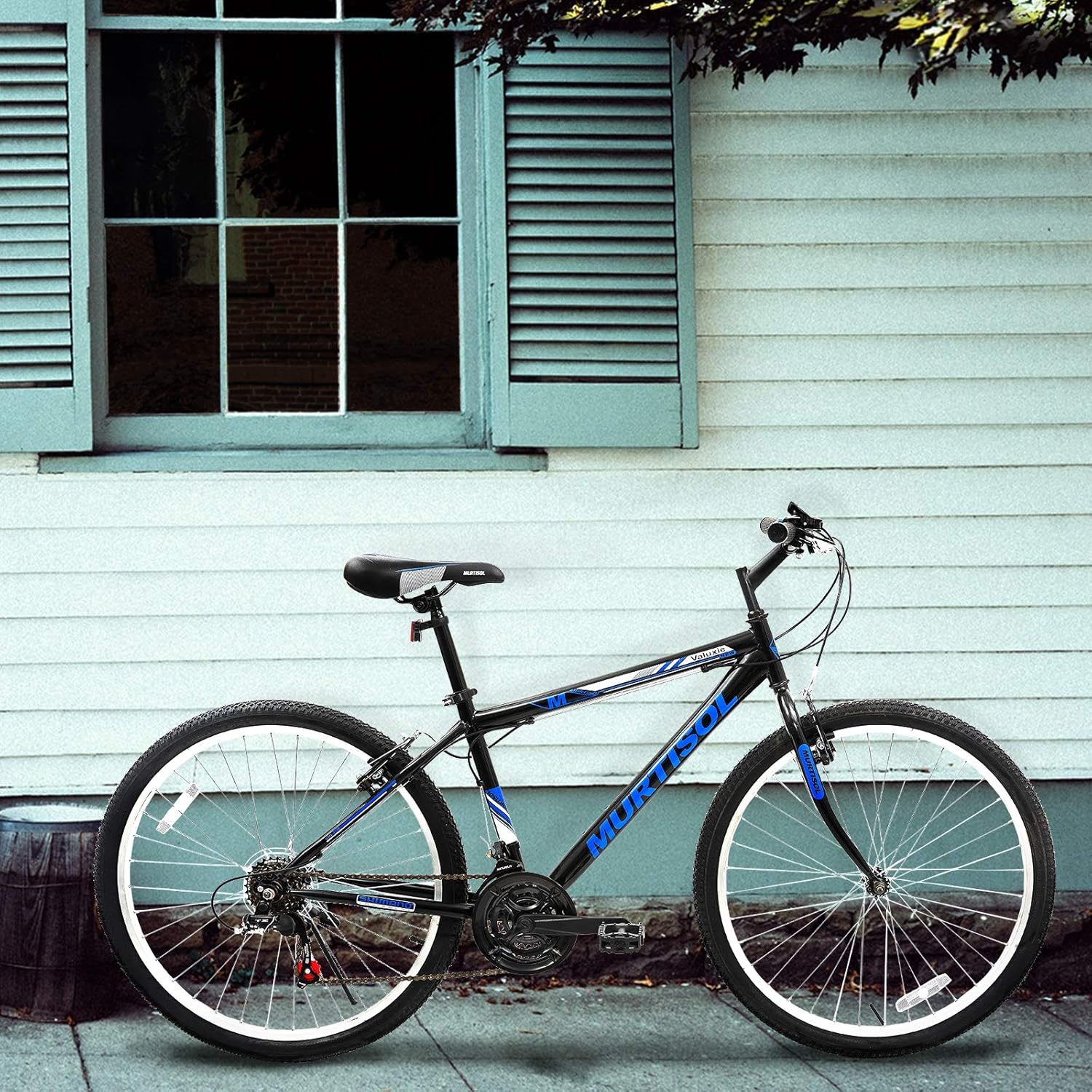 recreation mountain bike 21 speed