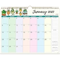 Amazon.com: Calendar 2023-2024 - Wall Calendar 2023-2024 , January 2023 -  June 2024, 14.7