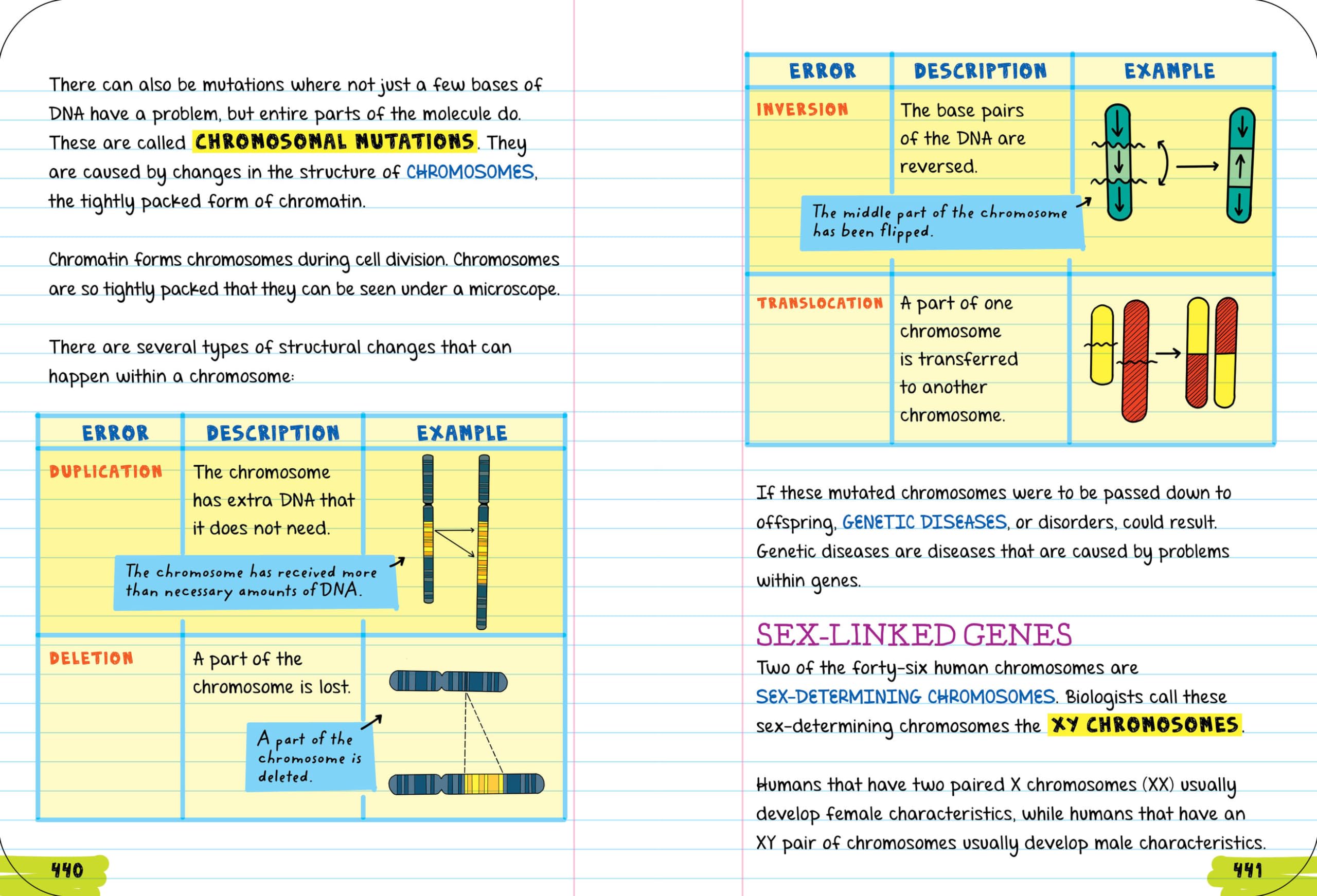 Everything You Need to Ace Biology in One Big Fat Notebook (Big Fat Notebooks) Everything You Need to Ace Biology in One Big Fat Notebook (Big Fat Notebooks) Paperback Kindle