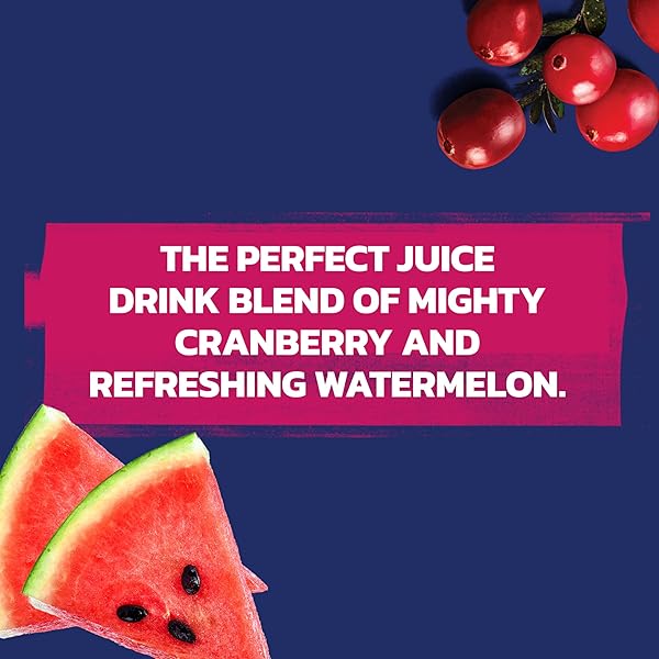 OCEAN SPRAY® CRAN-WATERMELON™ CRANBERRY WATERMELON JUICE DRINKS, 10 FL OZ BOTTLES, 6 COUNT