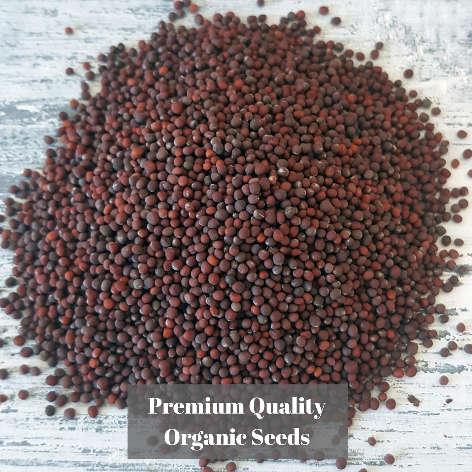 Verdant Republic Organic Broccoli Calabrese Sprouting Seeds 500g, Natural - Image 3