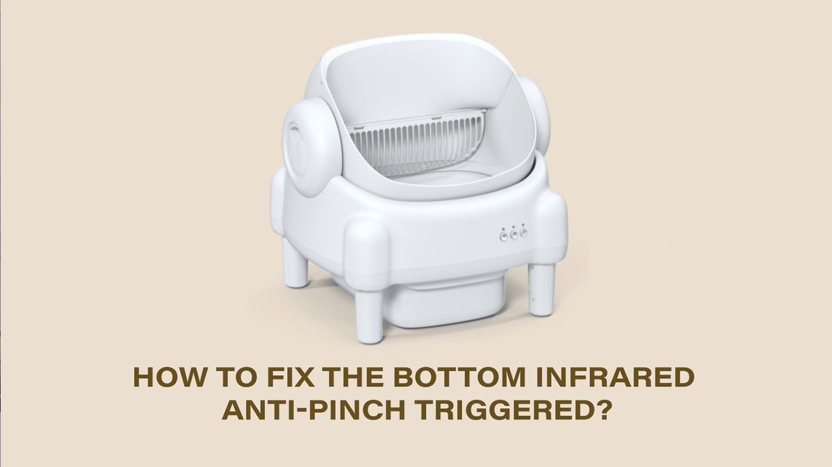 Thumbnail 25