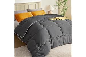 BEDLORE Queen Comforter Duvet Insert - All Season Down Alternative Quilted Bedding, Ultra Soft Lightweight with 4 Corner Tabs
