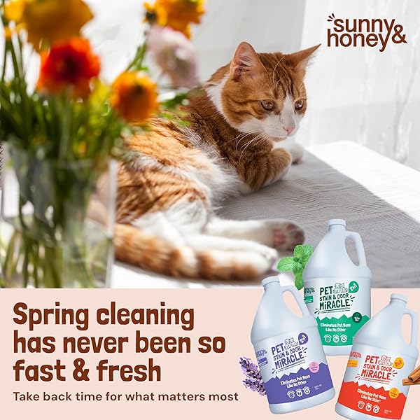 SUNNY & HONEY PET STAIN AND ODOR REMOVER – ENZYME CLEANER FOR DOG URINE AND POOP ON CARPETS AND FURNITURE – STRONG PET CARPET CLEANER SPRAY (1 GALLON FALL SPICE)