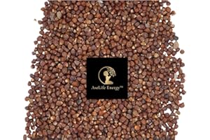 AseLife Energy™ Grains of Paradise Spice 2 OZ Melegueta Pepper Ginny Grains Mbongo spice Hepper Pepper Guinea Pepper Premium Non-GMO Vegan Paleo Gluten Free Plant Based African Spice 2 OZ