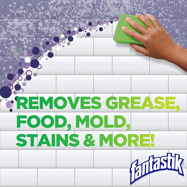 FANTASTIK ALL-PURPOSE CLEANER, WITH BLEACH, 32 FL OZ
