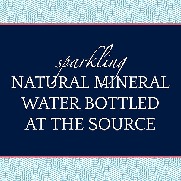 S.PELLEGRINO SPARKLING NATURAL MINERAL WATER, 25.4 FL OZ