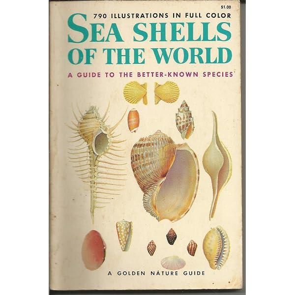 The World of Seashells: A Fully Illustrated Guide to These