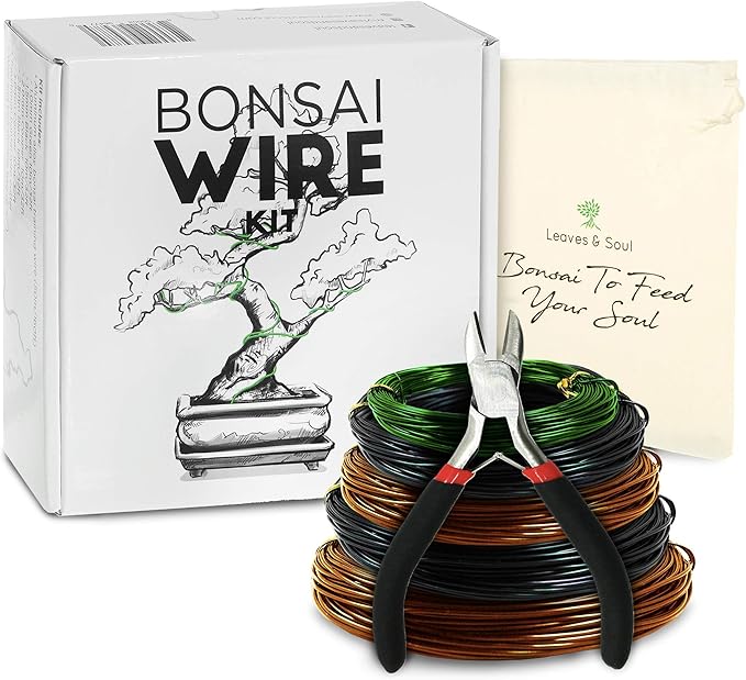 Amazon Com Leaves And Soul Tree Training Wire Kit 5 Rolls 160ft Aluminum Alloy Bonsai Plant Training Wire Wire Cutter Canvas Storage Bag Bonsai Accessories For Beginners Professionals Garden Outdoor