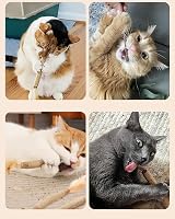 Nepfaivy Cat Toys Silvervine Sticks 12PCS Indoor Dental Chew Toy view 6