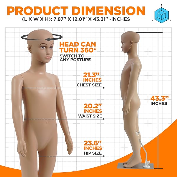SERENELIFE KID TORSO DRESS FORM MANNEQUIN – DETACHABLE & ADJUSTABLE MANNEQUIN FULL BODY STAND (FEMALE), LIGHTWEIGHT & PORTABLE, SHOWS VIVID FACIAL EXPRESSIONS, FITS ALL KINDS OF CLOTHES – SLMAQKDSK