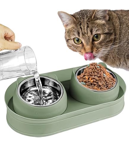 Chewy Cat Bowls Elevated Cat Bowl, Wide Raised Stainless