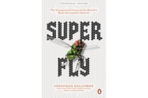 Super Fly: The Unexpected Lives of the World's Most Successful Insects