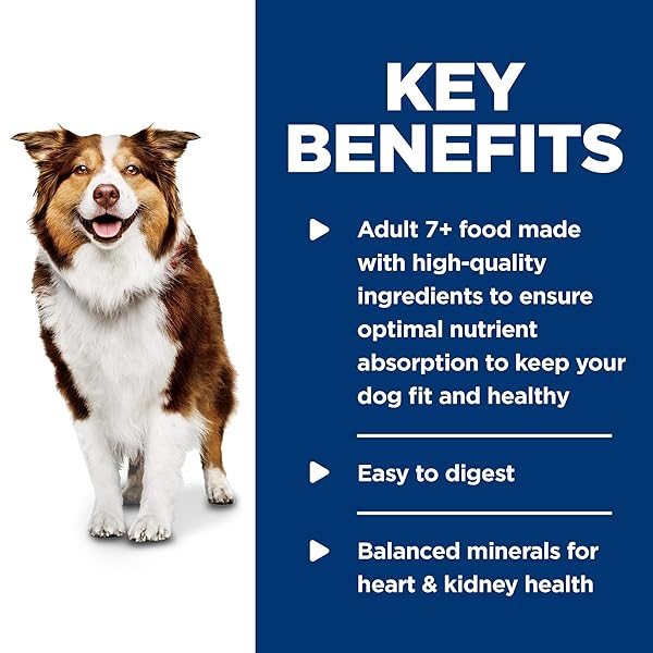 HILL’S SCIENCE DIET ADULT 7+ WET DOG FOOD, CHICKEN & VEGETABLES, 12.8 OZ. CANS, 12-PACK