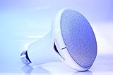 Dock Socket: Light Socket Mount for Google Home Mini