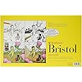 Strathmore 300 Series Bristol Paper Board, Smooth, 11x17 inches, 24 Sheets (100lb/270g) - Artist Paper for Adults and Students - Markers, Pen and Ink