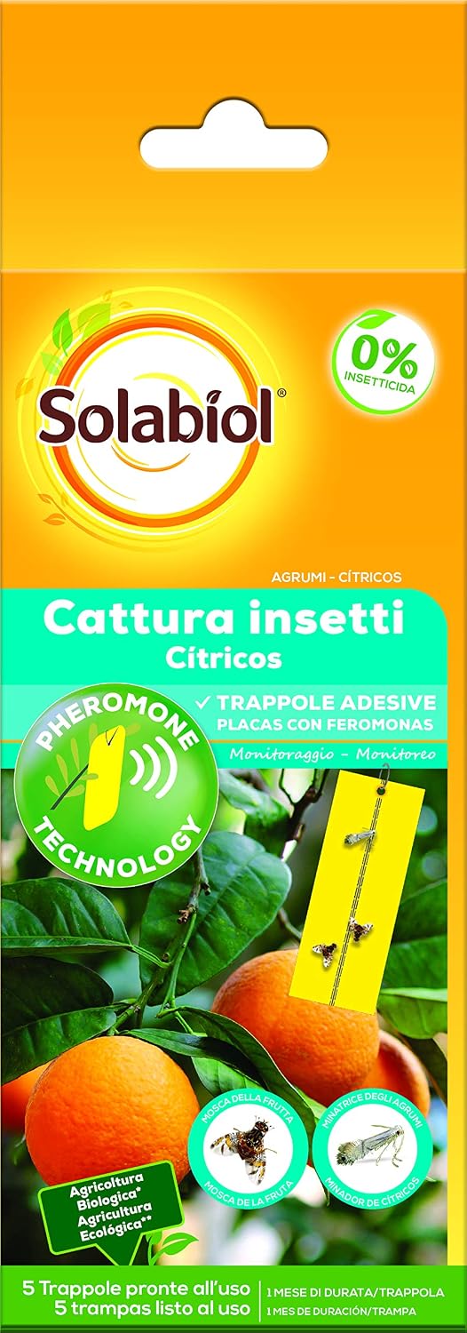 Solabiol Placas Cromotrópicas con Feromonas para la Polilla de Boj ...