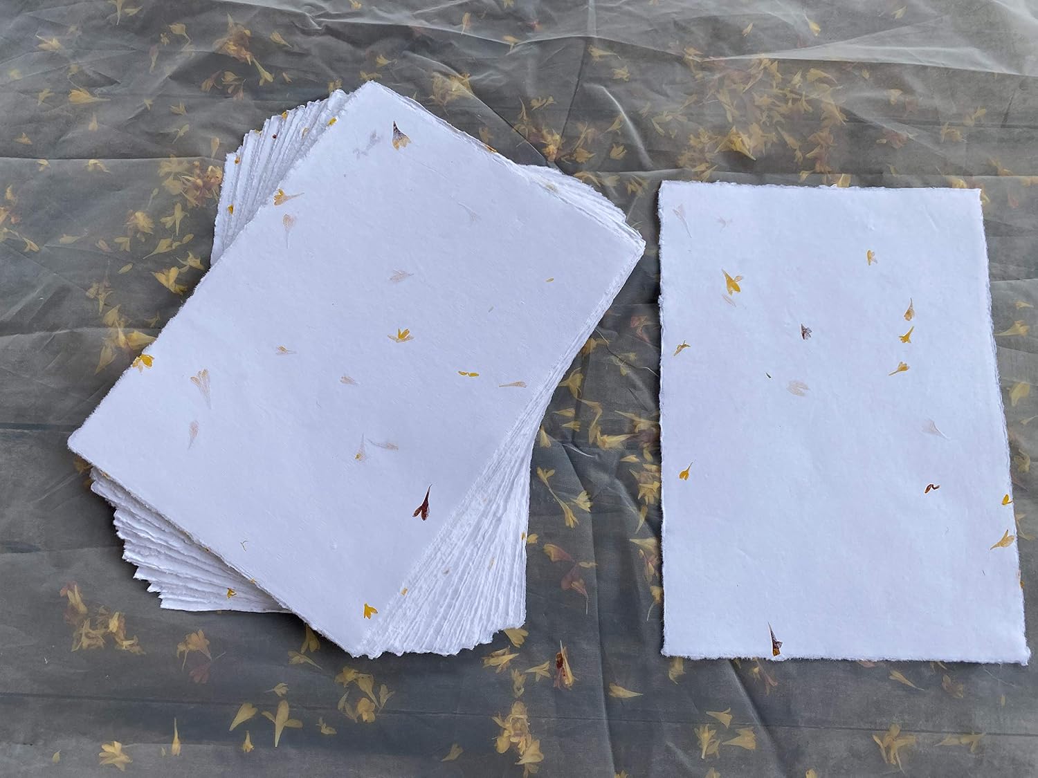 Wanderings A4 Handmade Paper with Deckled Edge and Real Flower Petals, 21x30 cm, 150 GSM, 50 Sheets Textured Paper - Image 3