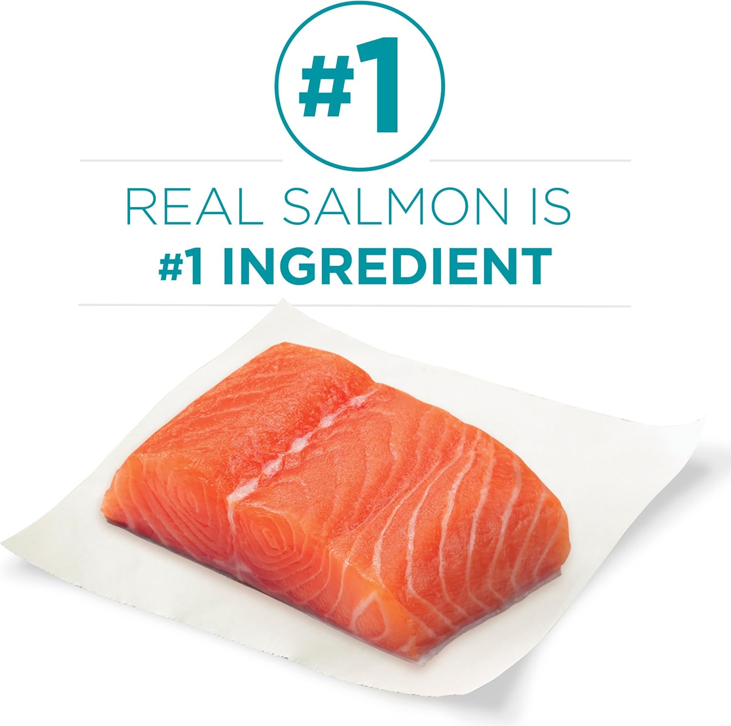 Purina ONE Natural Dry Cat Food, Tender Selects Blend With Real Salmon - 16 lb. Bag : Dry Pet Food : Pet Supplies