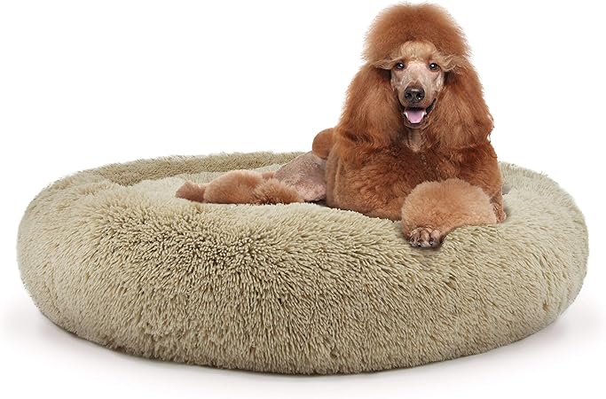 xl dog bed cover
