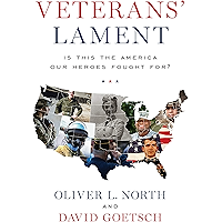 Veterans' Lament: Is This the America Our Heroes Fought For? book cover