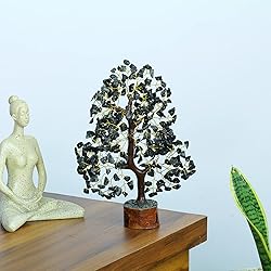 YUVDIPR Black Tourmaline Tree of Life of Life