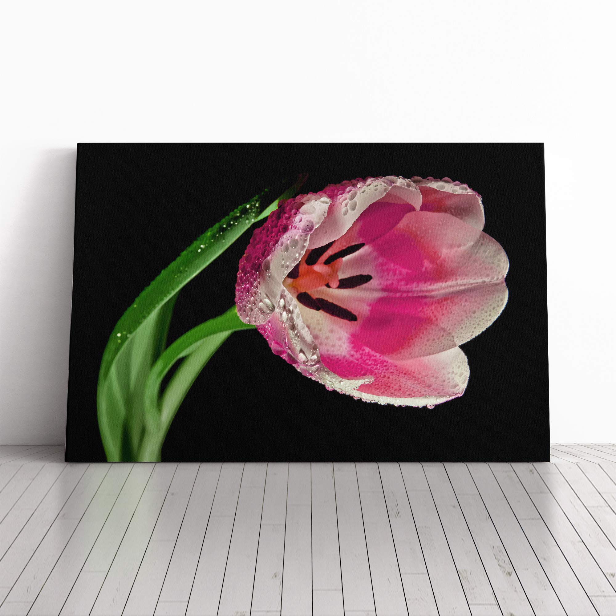 Flower Pink Tulip Canvas Print | Gallery Wrapped 30mm Frame Wall Art | 20x14 inches | Ready to Hang | Modern Floral Picture | Living Room Bedroom Lounge Office