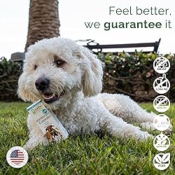 Siddha Remedies Abandonment & Separation for Pets