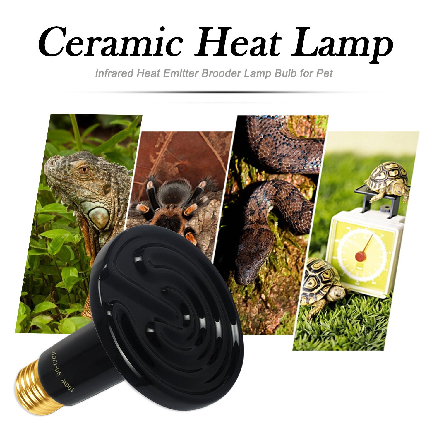🥇 Best Turtle Heat Lamps [UPDATED 2019]