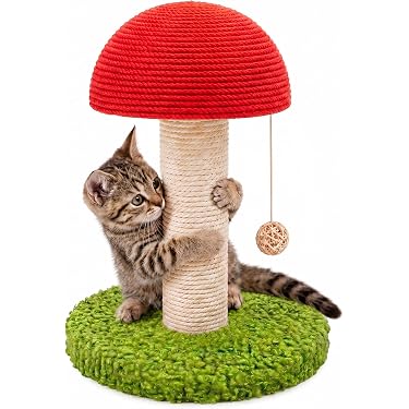Amazon.com New Releases: The best-selling new & future releases in Cat  Scratching Posts