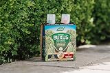 Westland Buxus Feed & Protect 2 in 1 Concentrates 2 x 500 ml Green view 3