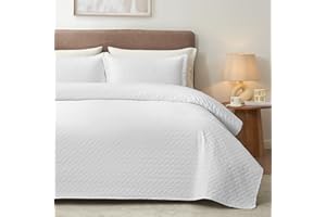 Hansleep Quilt Set Full Queen - Quilt Queen Size Bedding Set, Lightweight Bedspread Coverlet, Ultrasonic Quilting