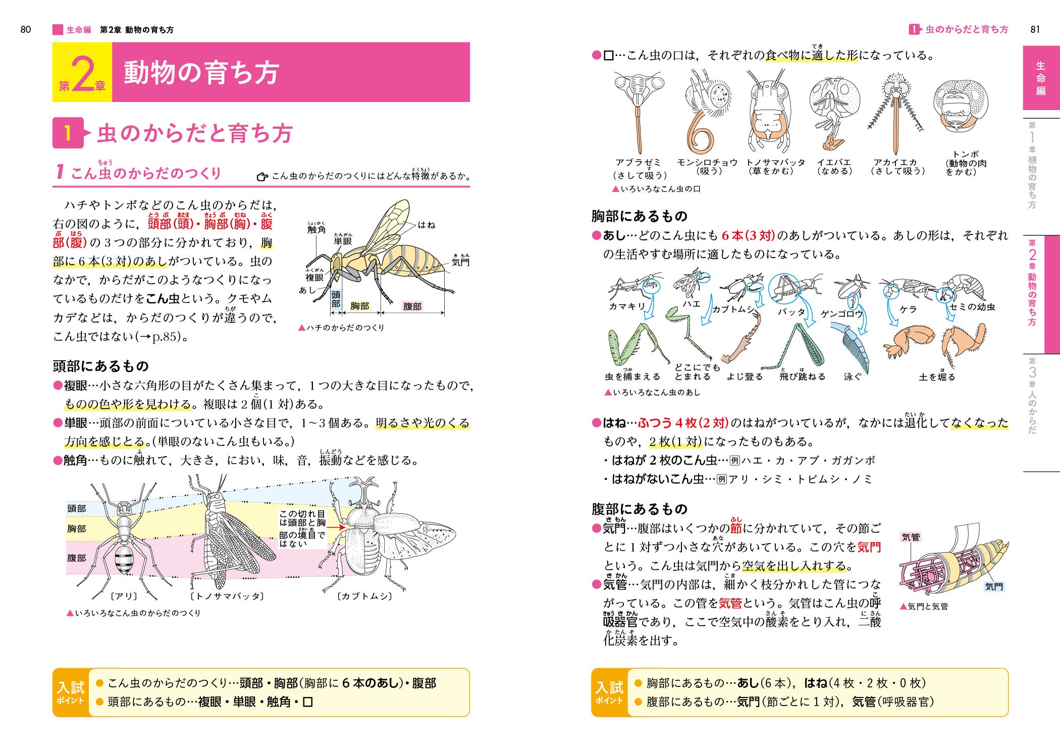 完全理解 小学理科 西村 賢治 本 通販 Amazon