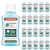 Mini Mouthwash Travel Size Bulk Pack of 10,Portable Mint Mini Mouthwash Bulk 35ml/1.2 Fl Oz Individual Small Mouth Wash for Travel,Hotel,Office,Toiletry Kits