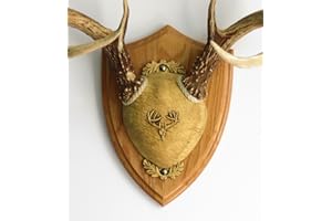 Taxidermists Woodshop TTW Ultimate Antler Mounting Kit - Medium Oak