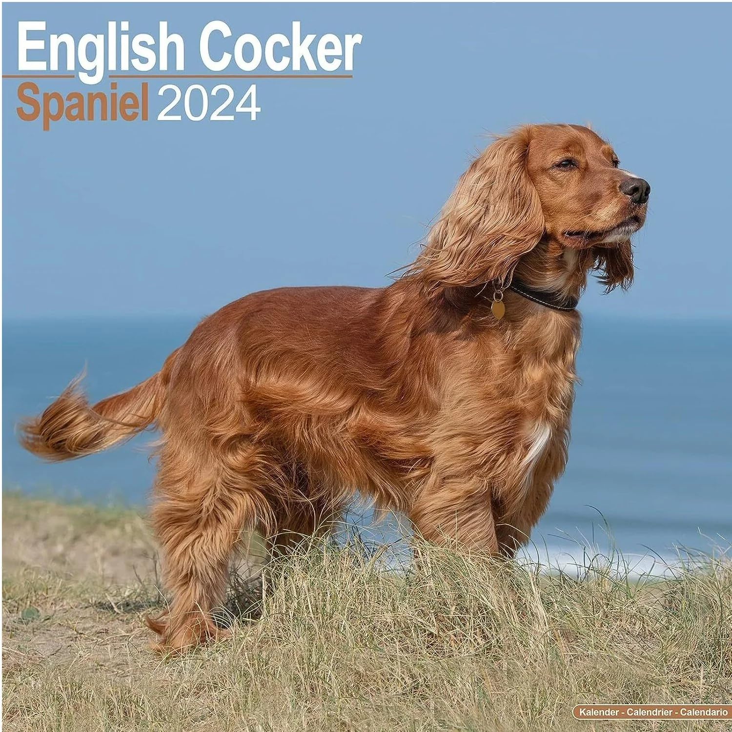 English Cocker Spaniel Calendar 2024 | Square Dog Breed Wall Calendar - 16 Month