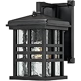 Westinghouse 6204500 Caliste 1 Light Outdoor Wall Lantern with Dusk to Dawn Sensor, Textured Black