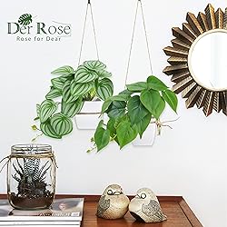Der Rose 2Pcs Small Fake Plants Artificial Mini