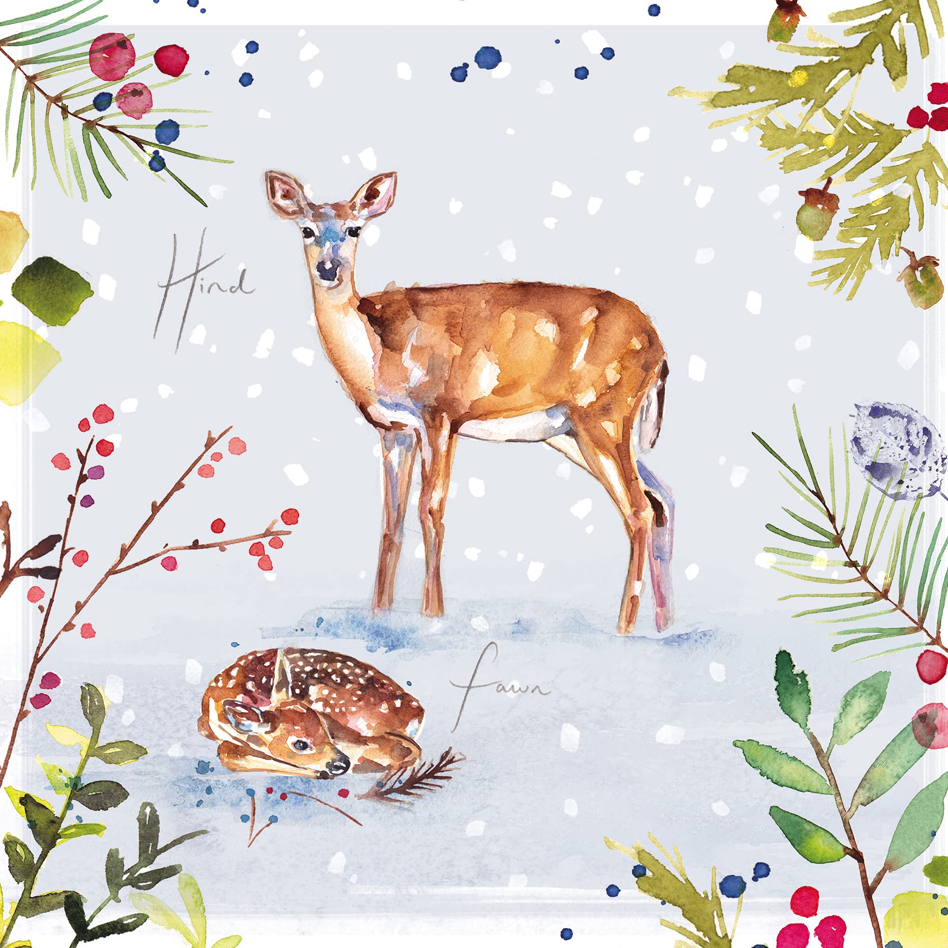 The Almanac Gallery Box of 16 Artistic Christmas Cards - Jennifer Rose Wildlife - 16 Cards, 4 Each of 4 Stunning Designs