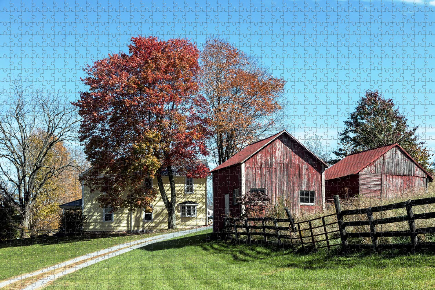 Umsufa Fredericksburg Texas Farm USA Jigsaw Puzzle