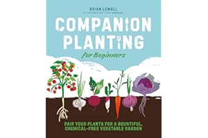 Companion Planting for Beginners: Pair Your Plants for a Bountiful, Chemical-Free Vegetable Garden