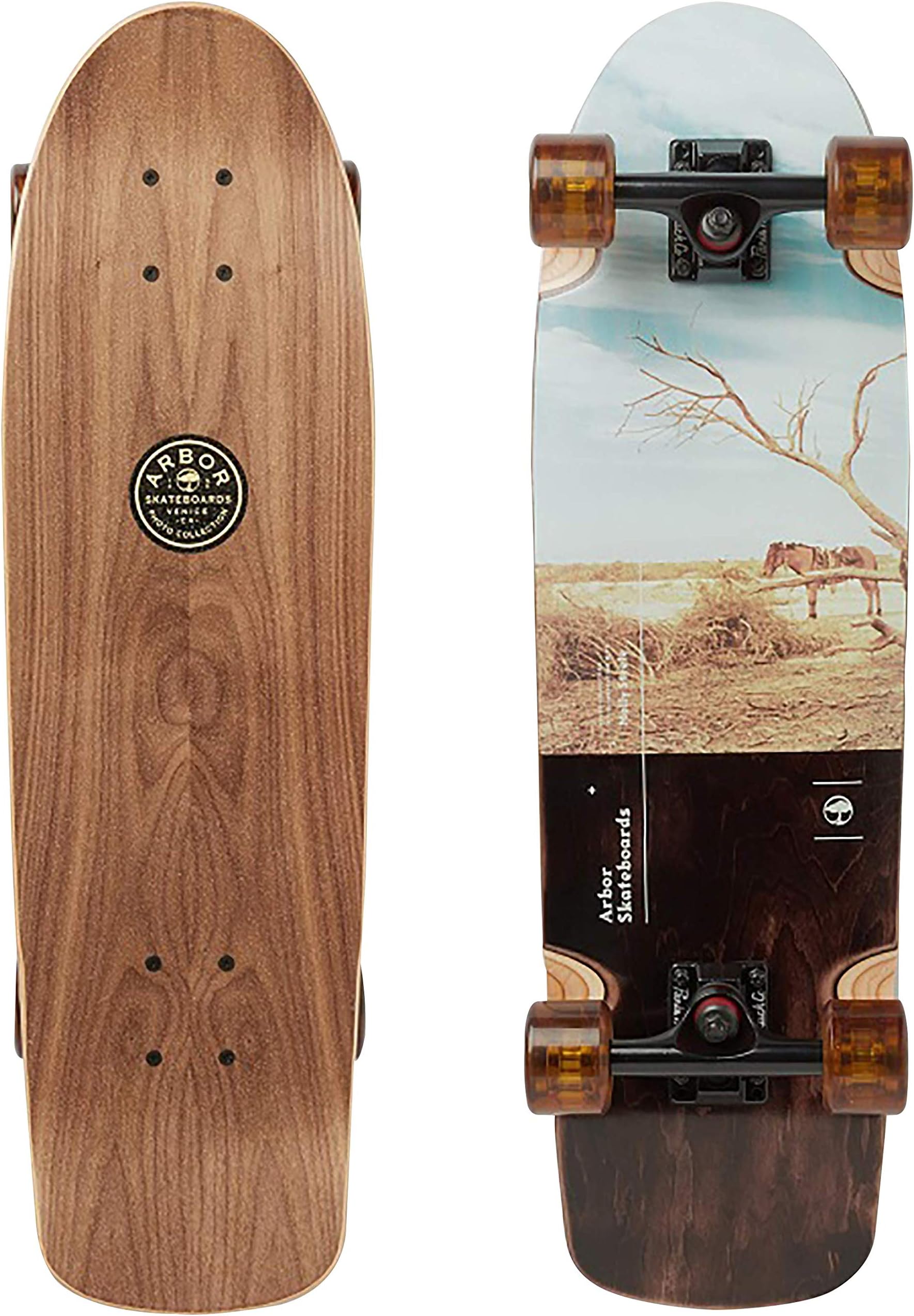 Arbor Pilsner Photo 2019 Mini Longboard Skateboard