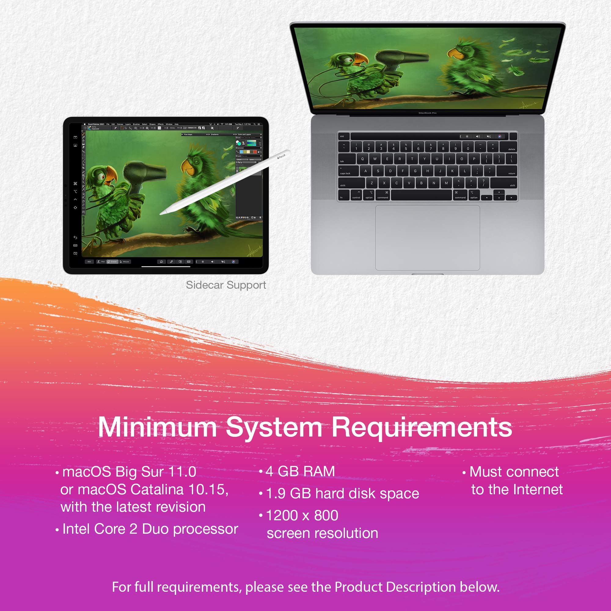 Corel Painter Essentials 8 | Beginner Digital Painting Software | Drawing & Photo Art [PC/Mac Key Card]