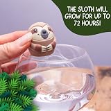 Boxer Gifts Grow a Sloth Toy - Kids Grow 6x Size Stocking Filler view 3