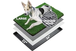 MEEXPAWS Dog Grass Pee Pads for Dogs with Tray | Large 34×23 in | Urine-Proof Dog Artificial Grass Pads | Rapid Drainage | 2 Training Pads | Indoor Dog Litter Box