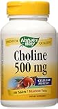 NATURES WAY Choline 500mg 100 Tablets