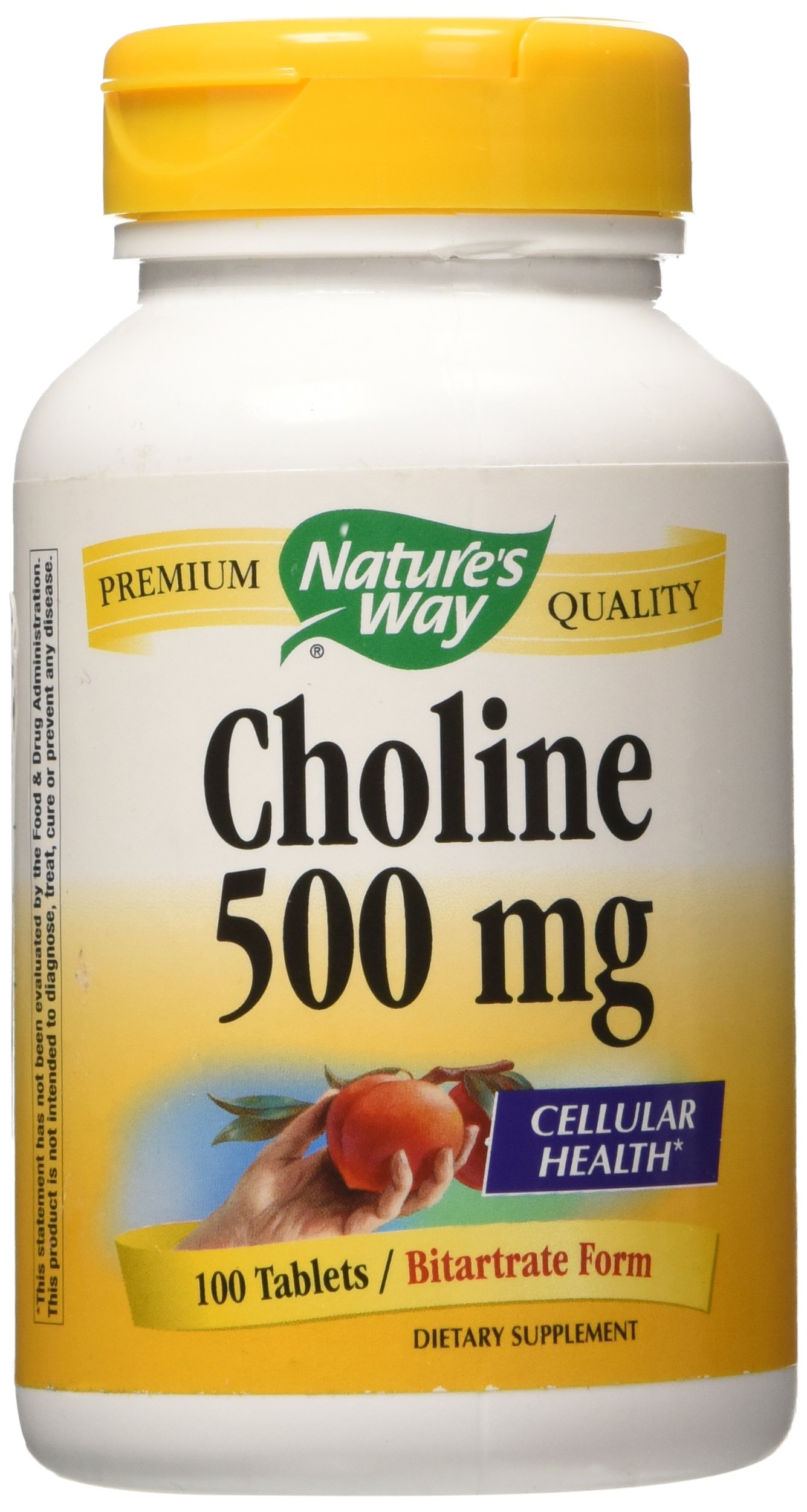 NATURE'S WAY Choline 500mg 100 Tablets Buy Online in United Arab