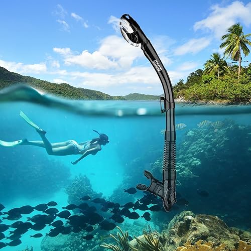 Snorkel Amazon Freedive Freedive Snorkel Seac One Dual Lens Scuba