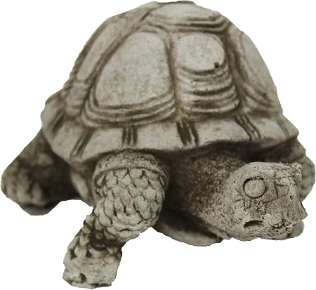 Amazon Com Small Turtle Concrete Statue Cement Animal Garden Statue Turtles Figurines Back Yard Art Garden Outdoor