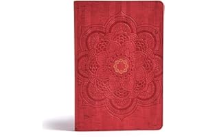 CSB Essential Teen Study Bible, Red Flower Cork LeatherTouch, Devotionals, Study Tools, Red Letter, Presentation Page, Full-Color Maps, Easy-to-Read Bible Serif Type